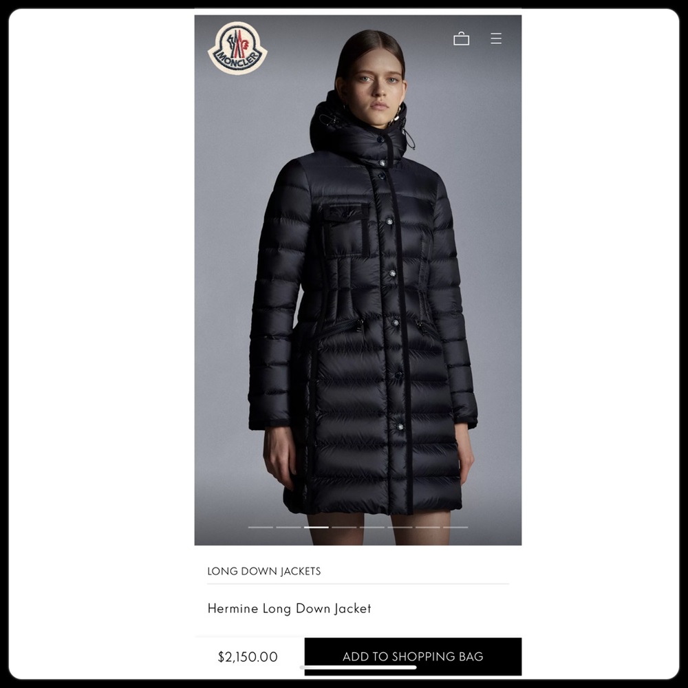 COPY - Moncler Hermine Long Down Jacket